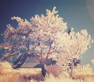 ddos攻击器安卓ios下载